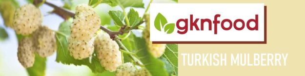 DRIED WHITE MULBERRY