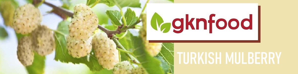 DRIED WHITE MULBERRY